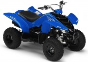 Yamaha YFM50 Yamaha YFM50